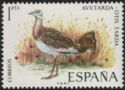 Great Bustard (Otis tarda)