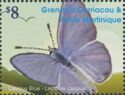 Cassius Blue (Leptotes cassius)