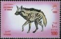 Striped Hyaena (Hyaena hyaena)