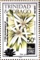 Star grass (Rhynchospora nervosa) Overprinted