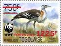 Denham's Bustard (Neotis denhami) - Red Overprint