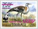 Denham's Bustard (Neotis denhami) - Purple Overprint