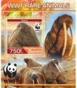 WWF Rare Animals - Walruses