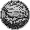 20 Lira (Sturgeon)