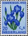 German Iris (Iris germanica)