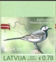 Europa - National Bird - White Wagtail (Motacilla alba)