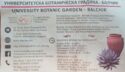 University Botanic Garden Balchik