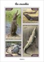 Crocodiles