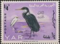 Western Reef Heron (Egretta gularis) - overprinted