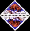 European Bison (Bison bonasus)