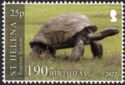 Jonathan The Tortoise, 190th Birthday