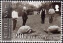 Jonathan The Tortoise, 190th Birthday