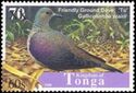 Friendly Ground Dove (Gallicolumba stairi)