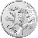 10 Euro (Flower language - marigolds - Silver)