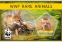 Fauna World Wildlife Fund Rare animals