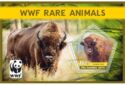 WWF Rare animals - European Bison (Bos bonasus)