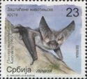 Alpine Long-eared Bat (Plecotus macrobullaris)