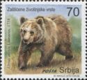 Brown Bear (Ursus arctos)