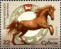 Horse (Equus ferus caballus)