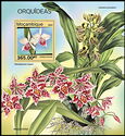 Orchids