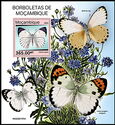 Butterflies of Mozambique