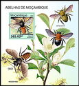 Bees of Mozambique
