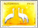 Blue Crane (Anthropoides paradisea)
