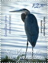 Great Blue Heron (Ardea herodias) - Overprinted