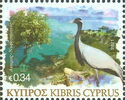 Demoiselle Crane (Grus virgo)