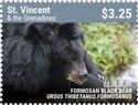Formosan Black Bear (Ursus thibetanus formosanus)