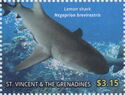 Lemon Shark (Negaprion brevirostris)