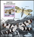 Insects of Mozambique