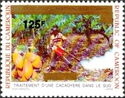 Treating Cacao Plants overprint