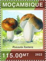Stinking Brittlegill (Russula foetens)