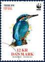 European Kingfisher (Alcedo atthis)