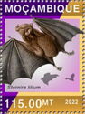 Little Yellow-shouldered Bat (Sturnira lilium)