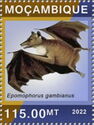 Gambian Epauletted Fruit Bat (Epomophorus gambianus)
