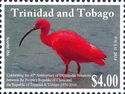 Scarlet Ibis (Eudocimus ruber)