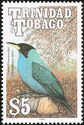 Green Honeycreeper (Chlorophanes spiza)
