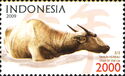 Water Buffalo (Bubalus bubalis)