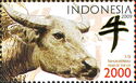 Water Buffalo (Bubalus bubalis)