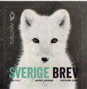 Arctic Fox (Vulpes lagopus)