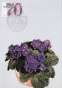 African Violets