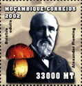 Alexander Fleming, Boletus edulis