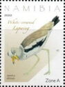 White-Crowned Lapwing (Vanellus albiceps)