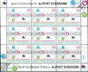 Alport Syndrome Awareness