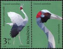 Brolga (Antigone rubicunda)