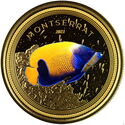 10 Dollars (Blue Girdled Angelfish - Coloured)