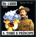 Baden Powel, Minerals, Mushrooms