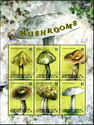 Mushrooms